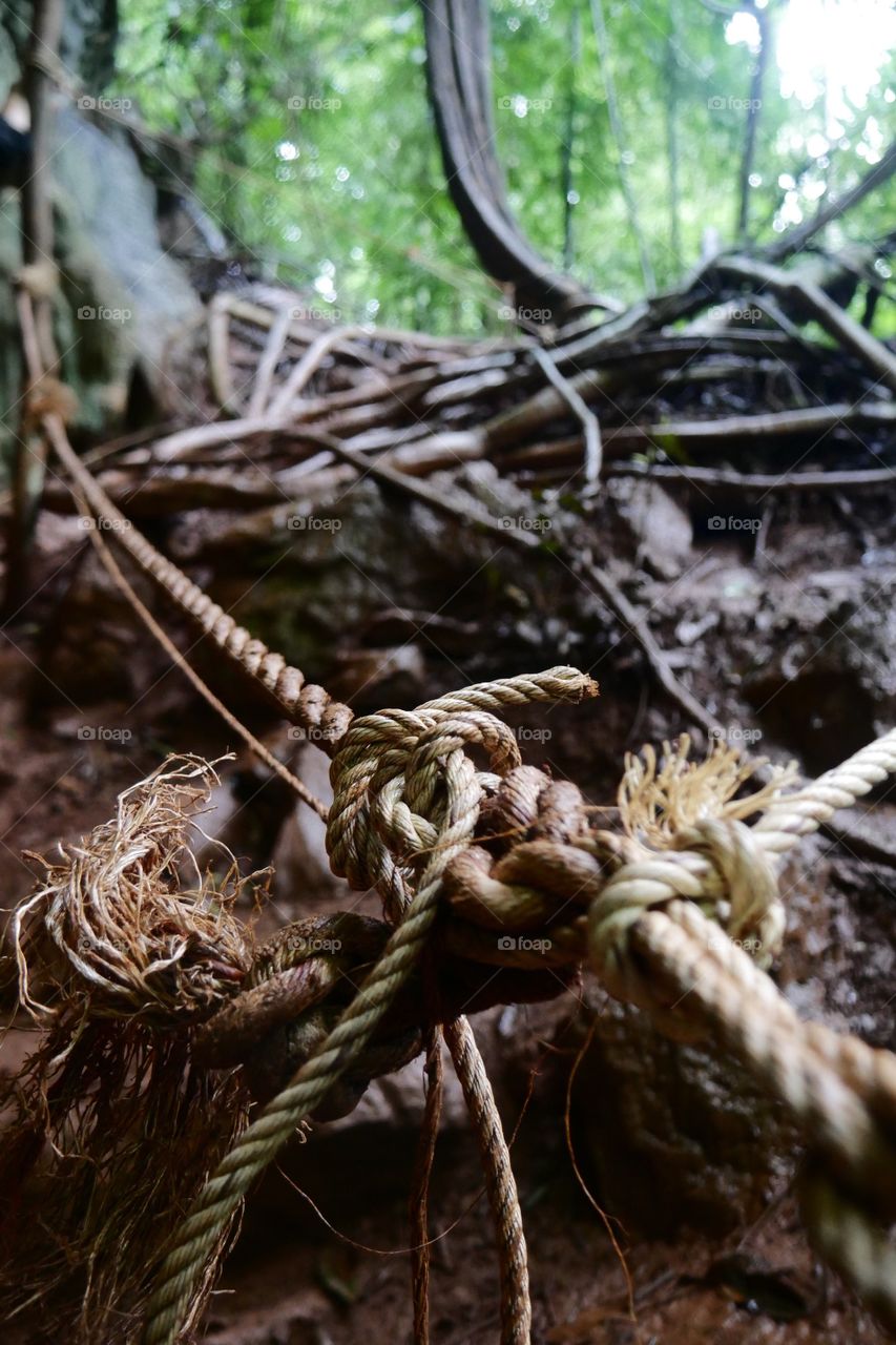 Wood, Nature, Tree, Rope, No Person