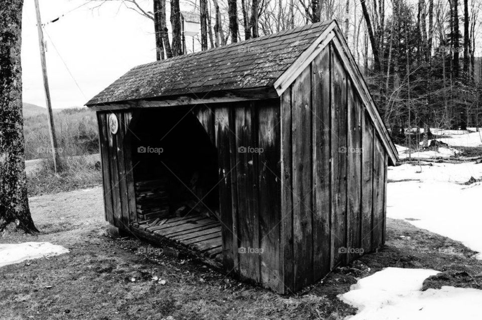 Shed