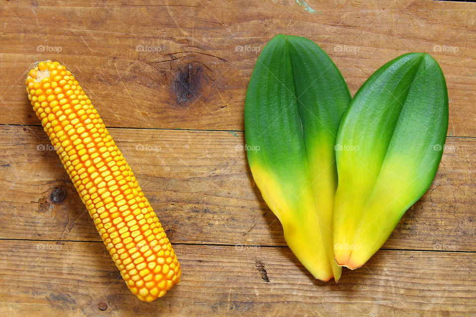 corn and green leaf