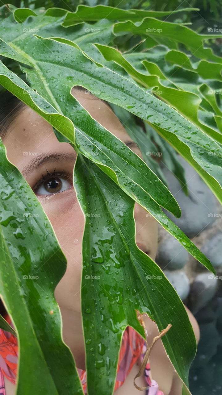 Beautiful  closeup