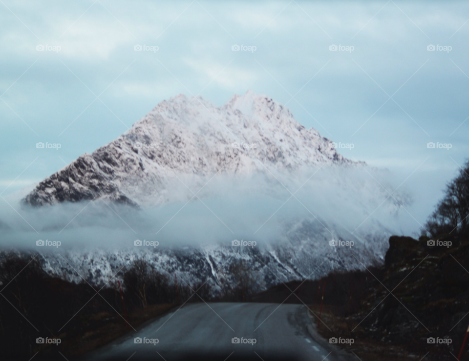 tree trees view views by Iphonepic