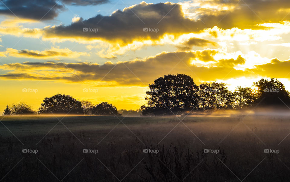 Silent morning in the parc