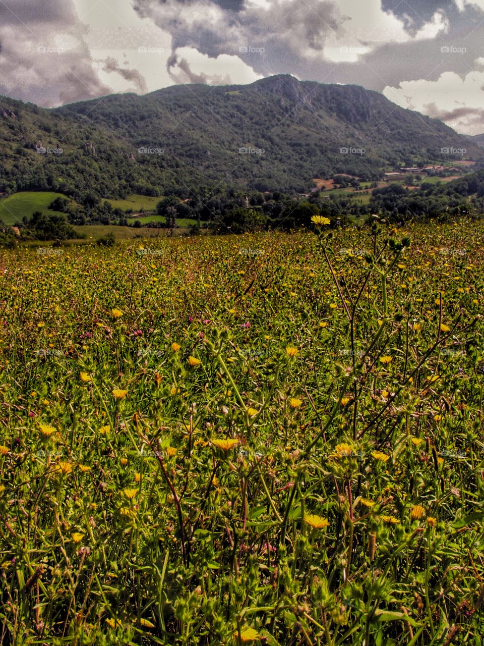 Pyrenees. Ariege