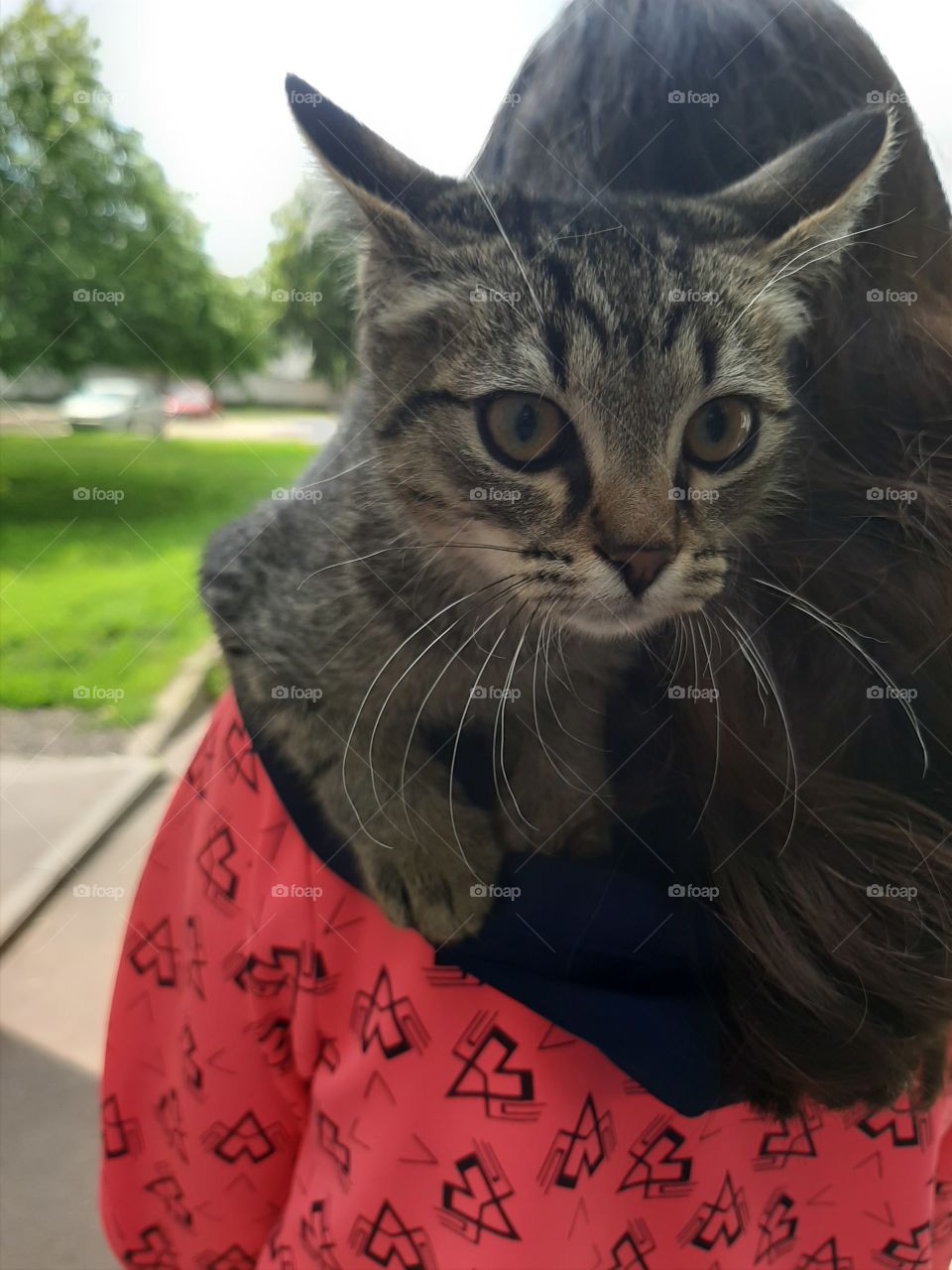 О   господи!