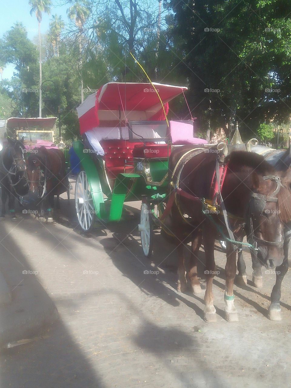 a chariot pulled by horses.