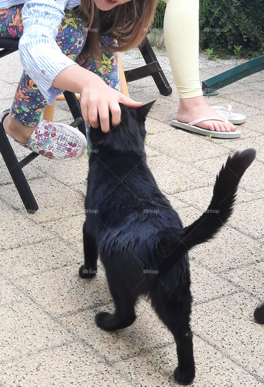 litlle girl and black cat