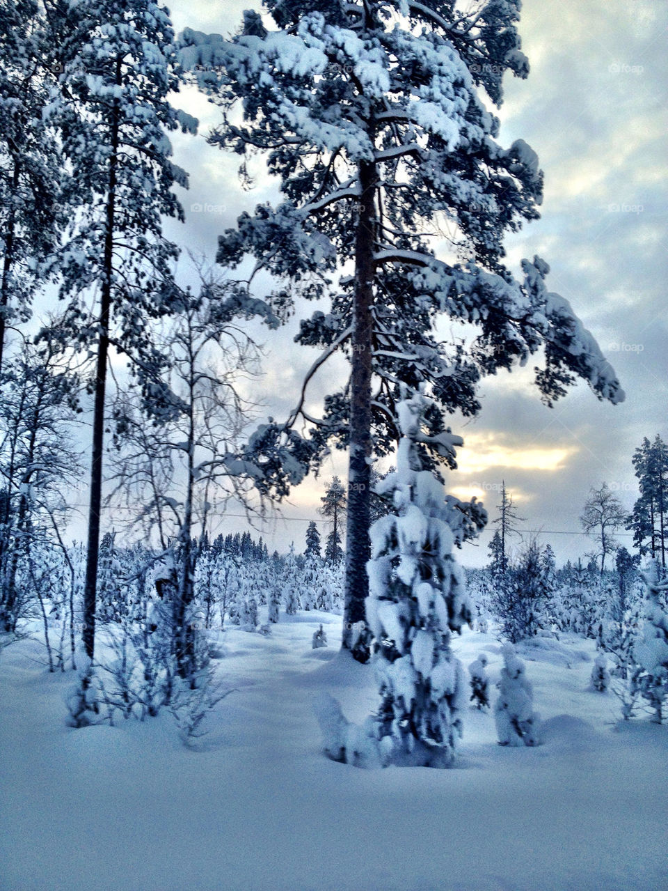 Winter in Sweden