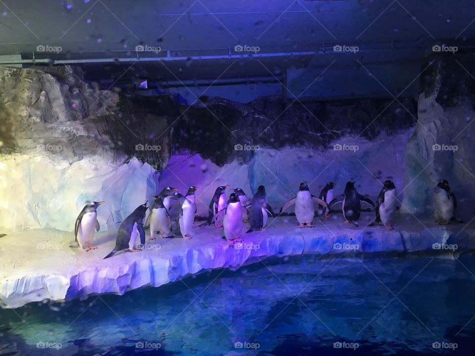 Underwater, Water, People, Ocean, Exploration