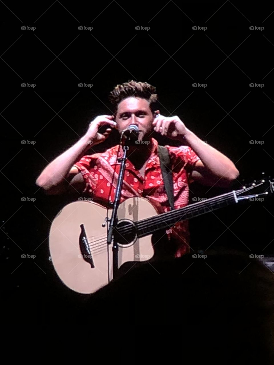 Niall horan in concert 
