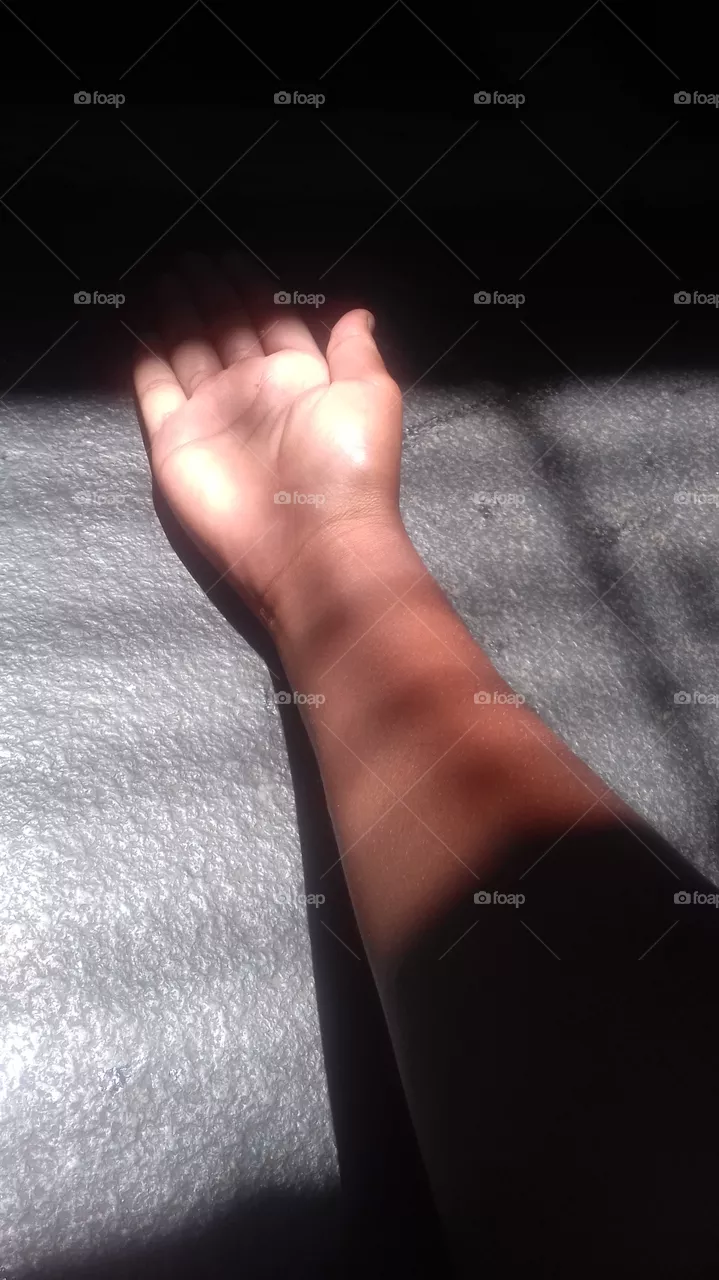 shadows