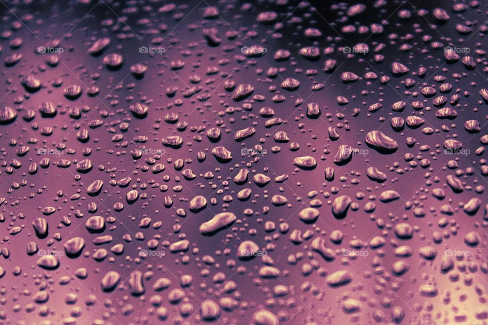 Pink reflections in the raindrops. Lots of tiny raindrops on clear glass tinted pink and purple.