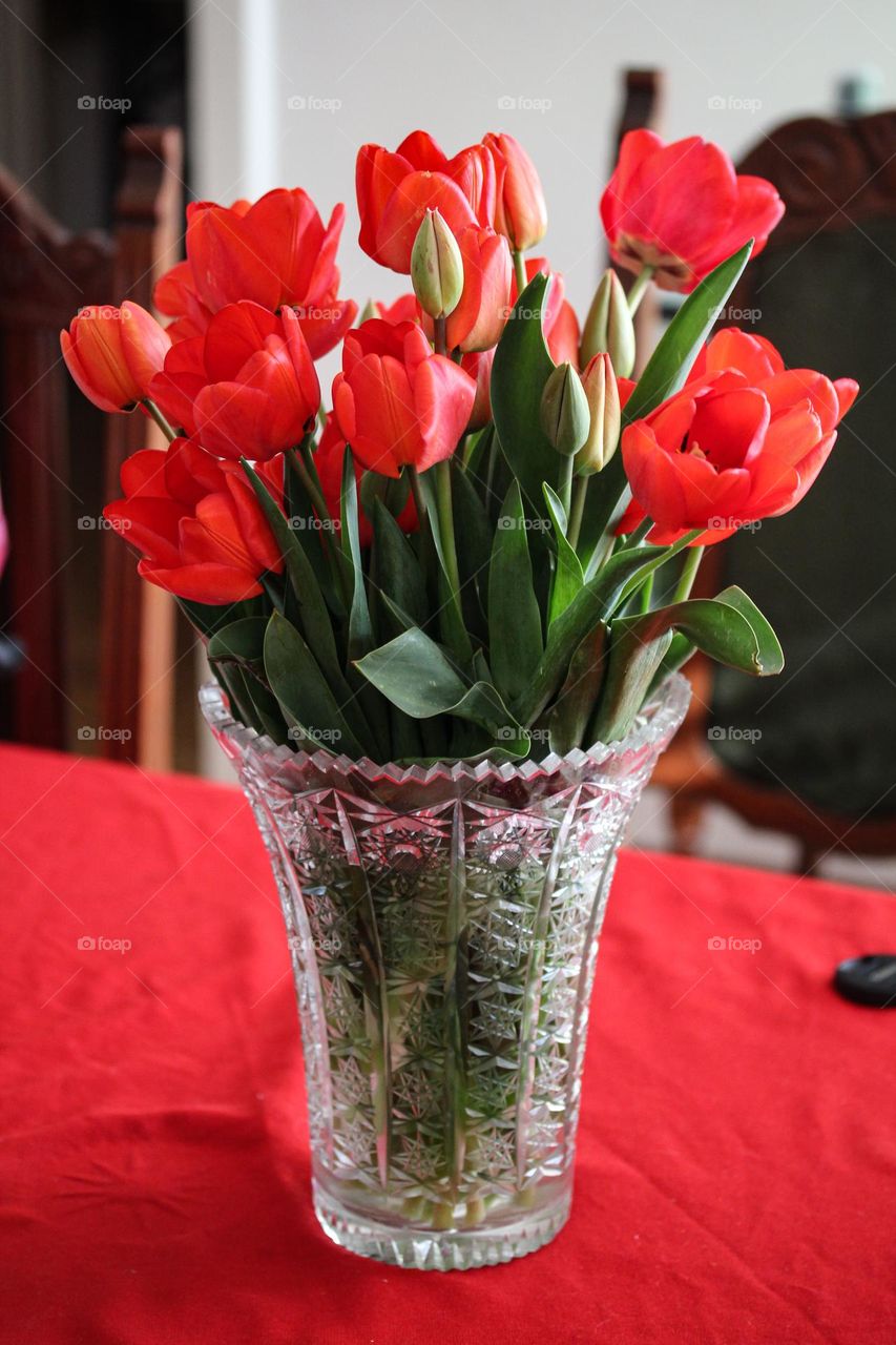 Tulips