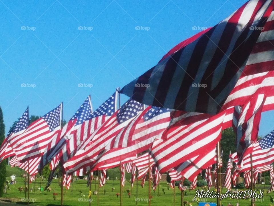 A forest of flags waving at a local Cemetery for all those who sacrificed their lives so we can have our freedom.