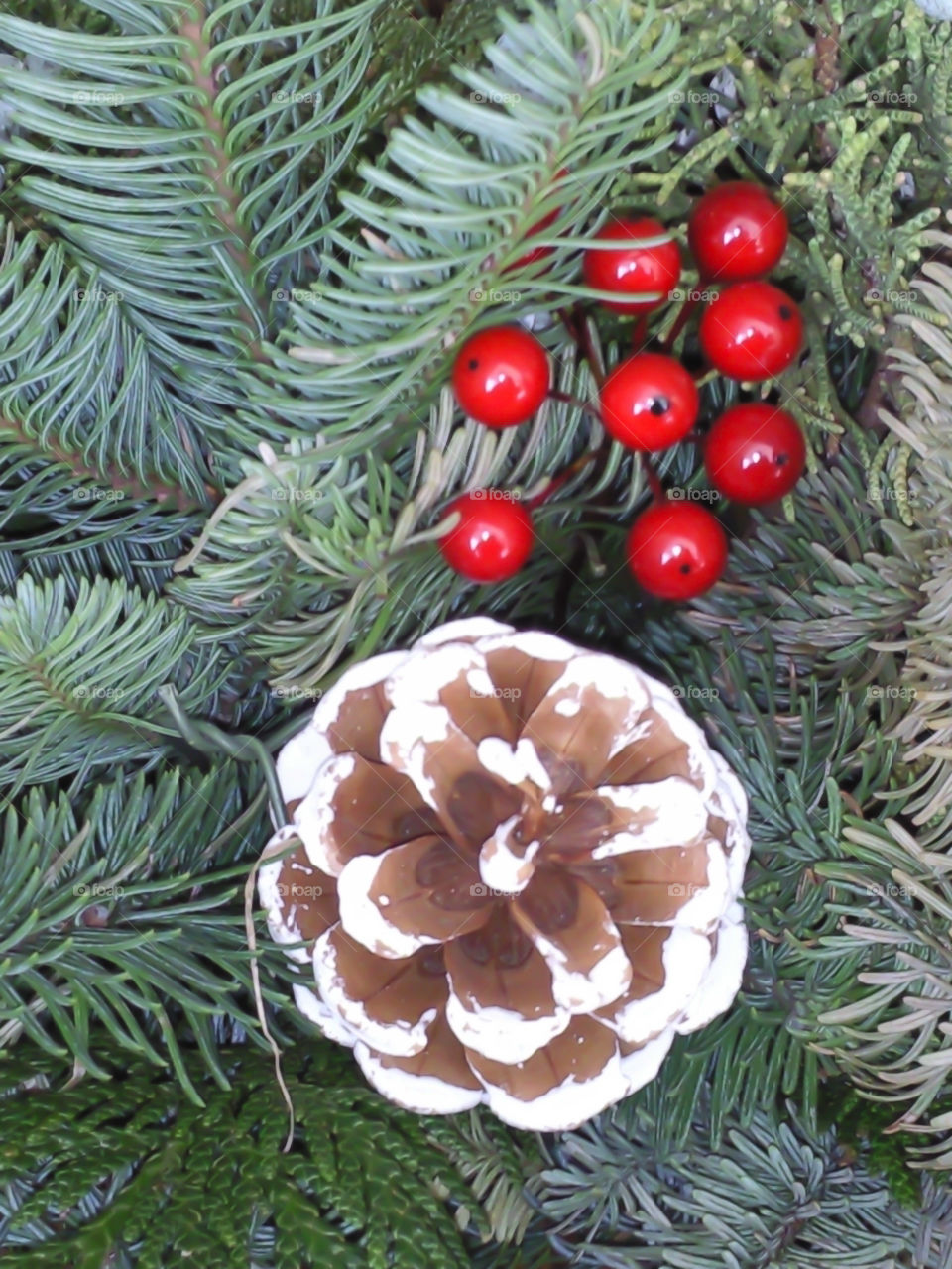 holiday greenery. holiday greenery 