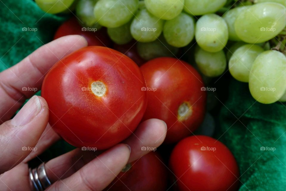 Woman hand holding tomato