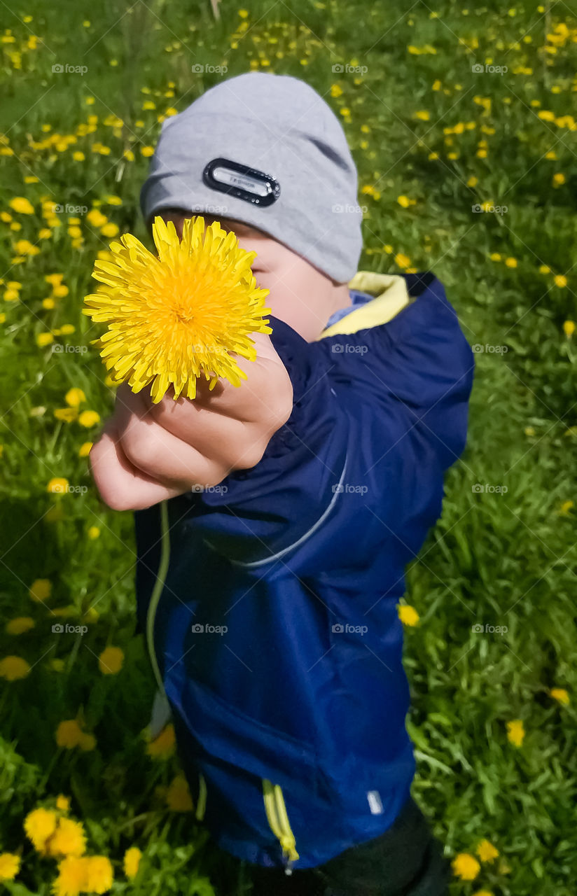 boy with a yellow flower, summer, sunny day