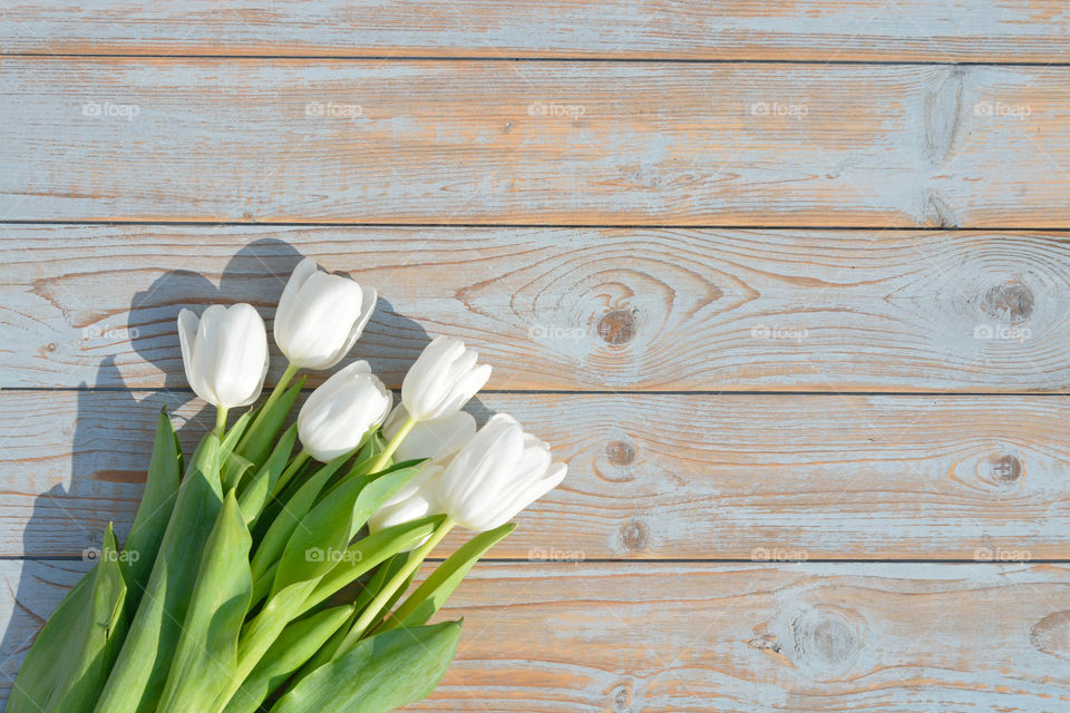 bouquet of white tulips on a old empty copy space wooden background with sunlight effect
