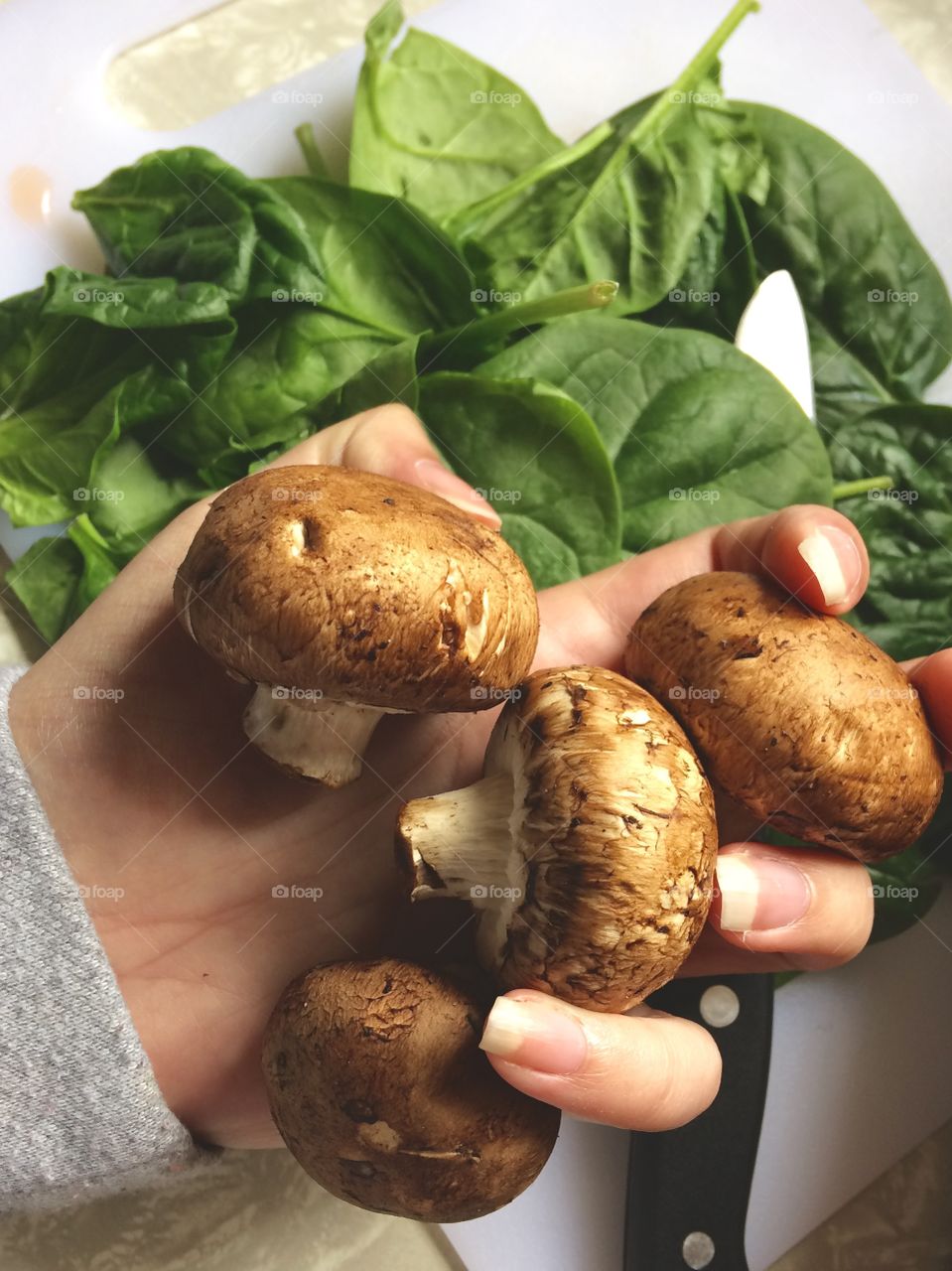 Close-up of mushrooms in hand