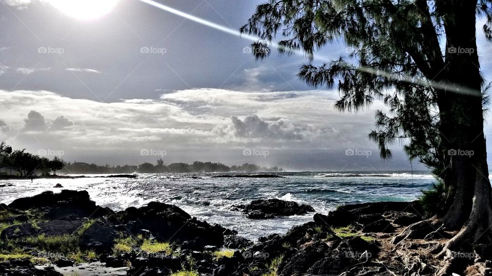 Hawaiian landscape