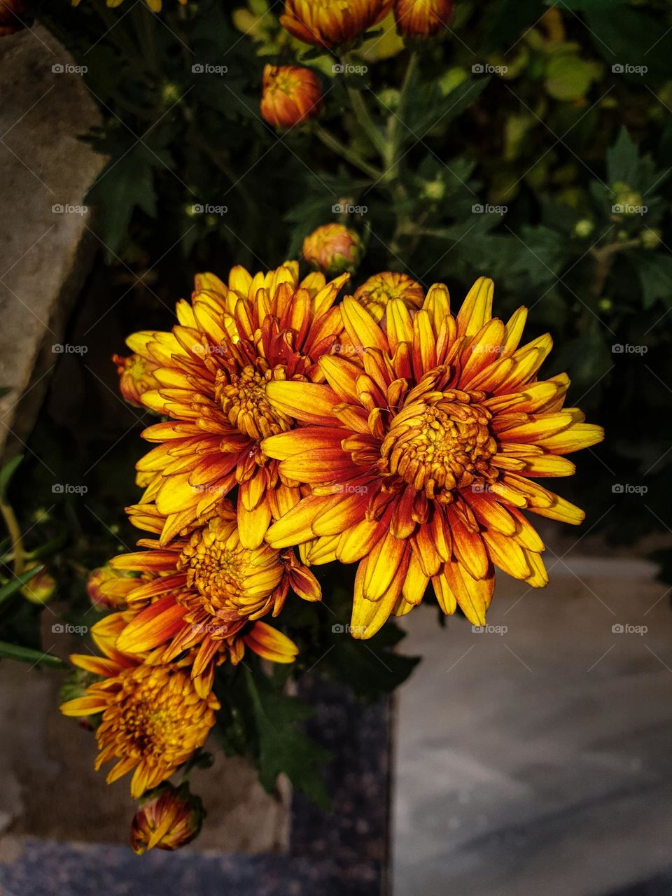 Life is art.
Live yours in color.