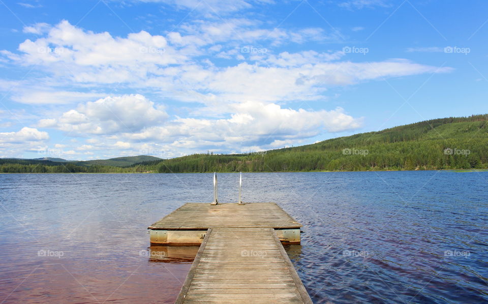 Summer landscape