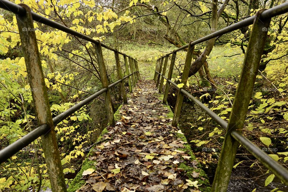 Footbridge over the a River Wear in Autumn 🍁🍂