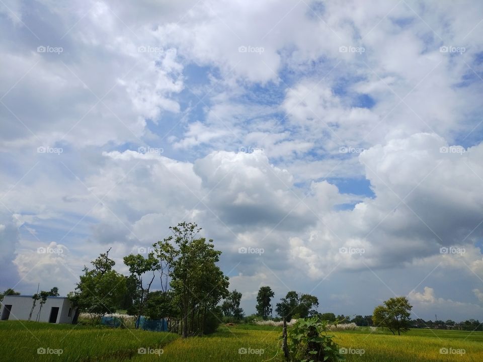 perfect background setup in instagram