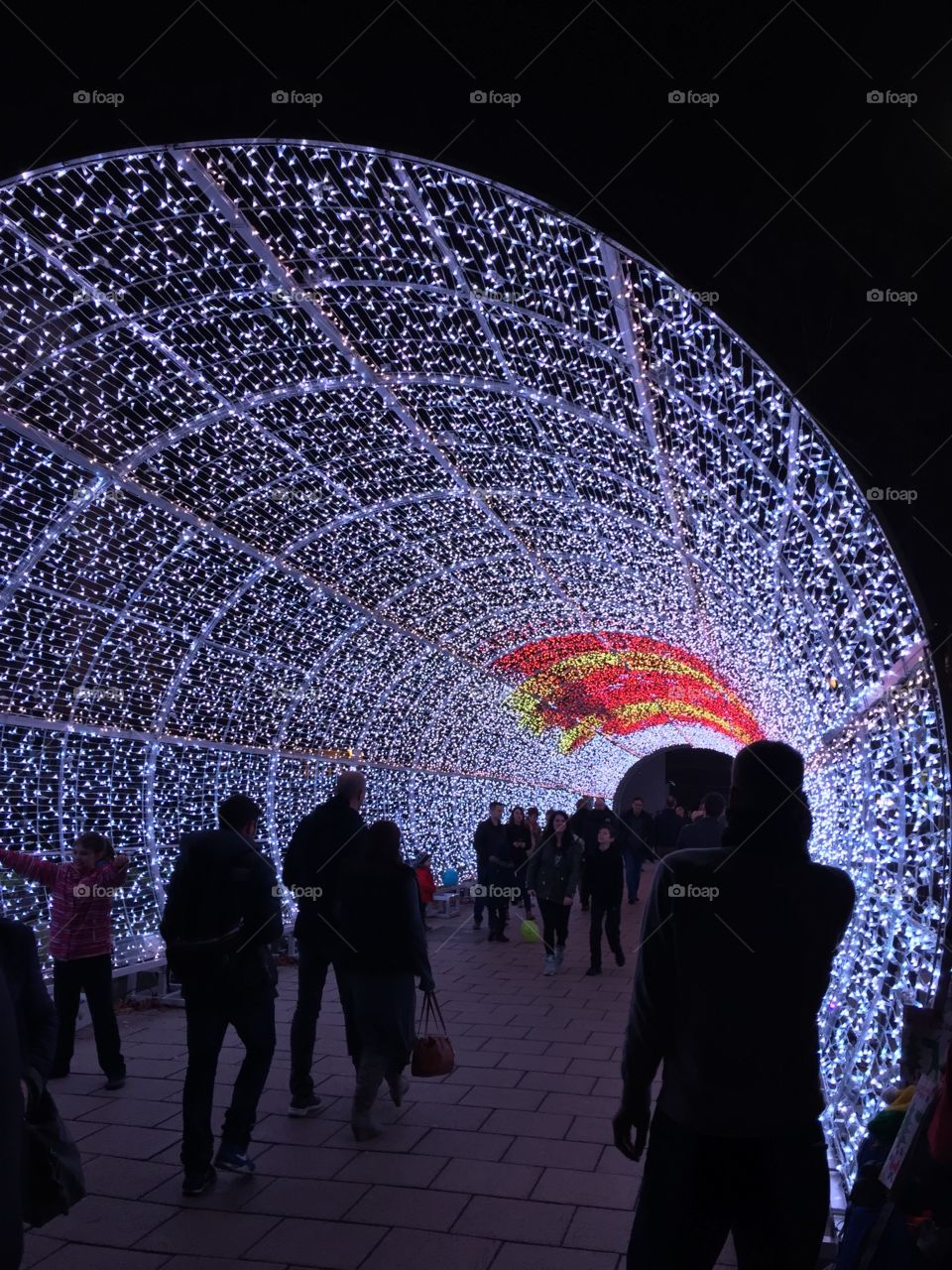 Norwich Christmas light tunnel