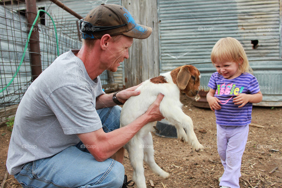 Father holding young goat to let daughter pet it