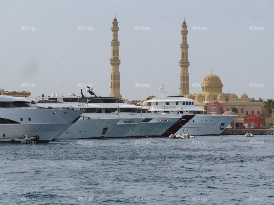 swimming hurghada summer
