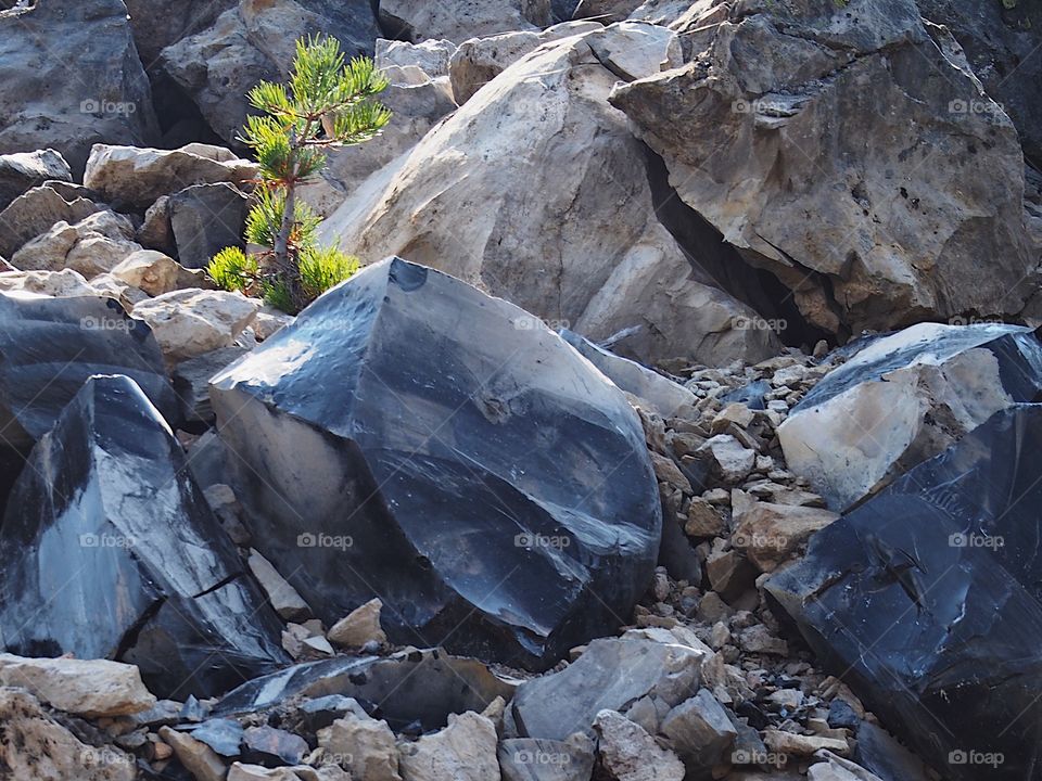 Textured Obsidian and hardened lava rock on a sunny fall day at the Big Obsidian Flow in the Newberry National Volcanic Monument in Central Oregon. 