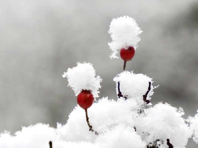 First snow
