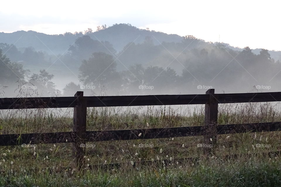 Early morning ground fog covers pasture