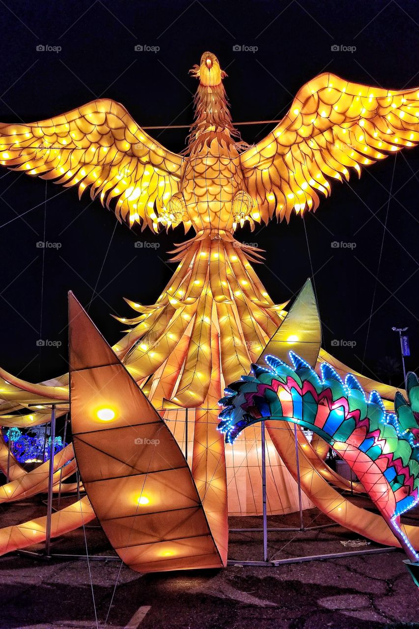 ILLUMINATION of Lights