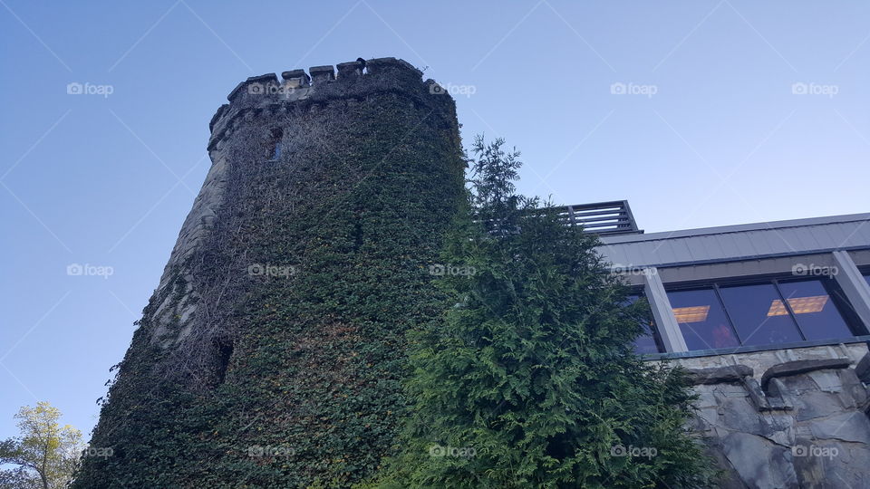 Tower Ruby Falls