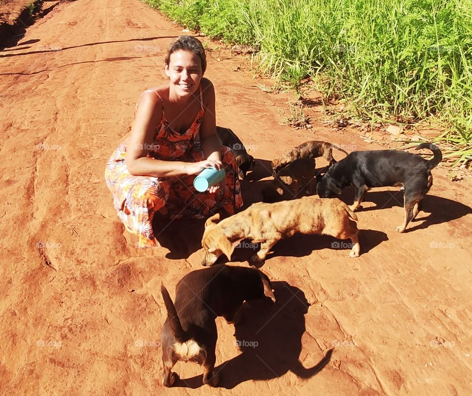 Girl And Dogs