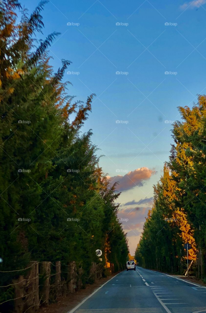 My Magic road trip of my point of view 