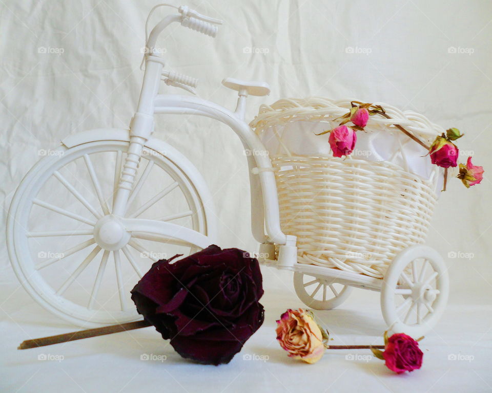 decorative toy bike and dried rose buds