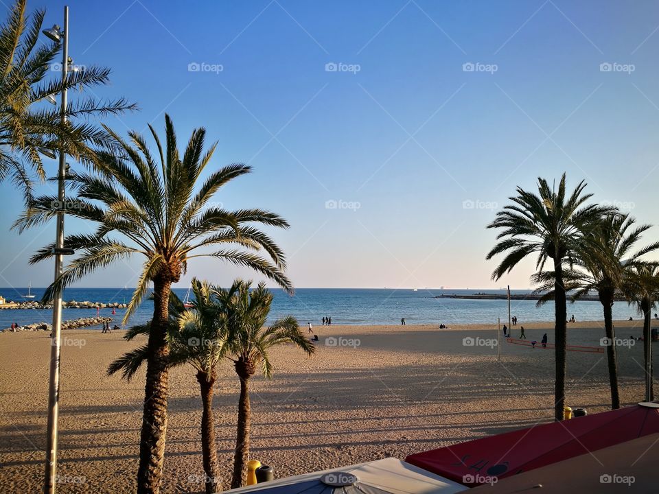 Beach, Barcelona
