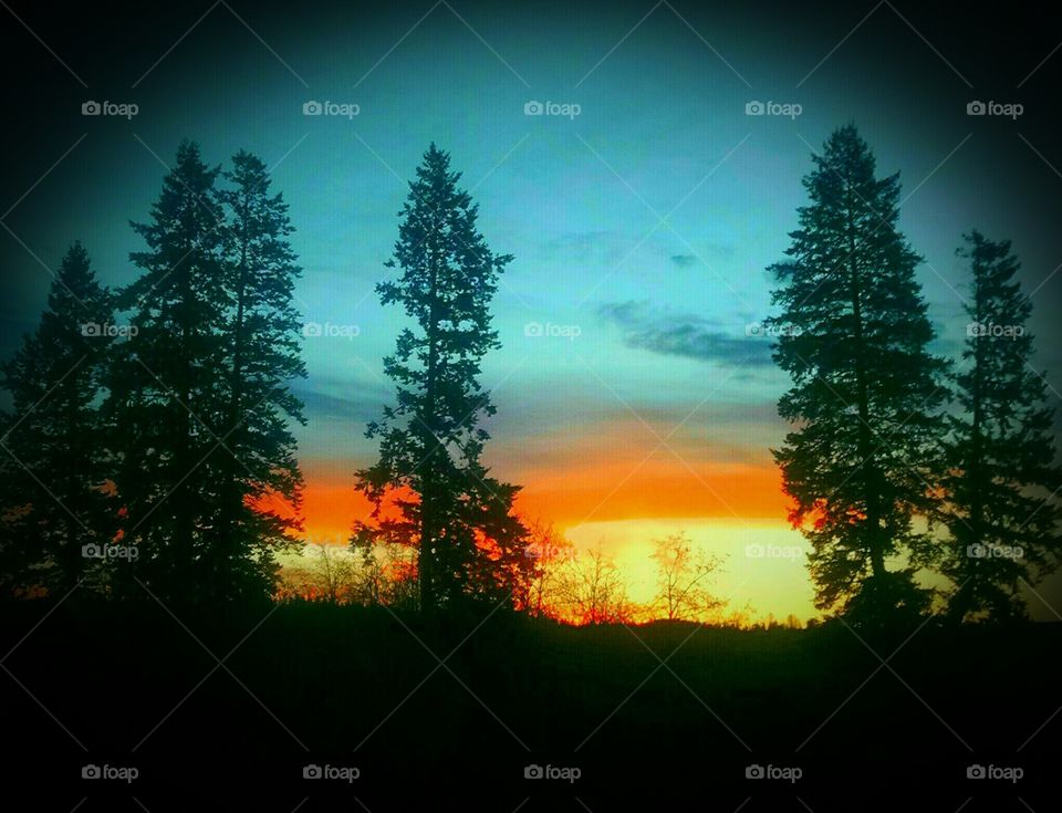 Sunrise Washington state