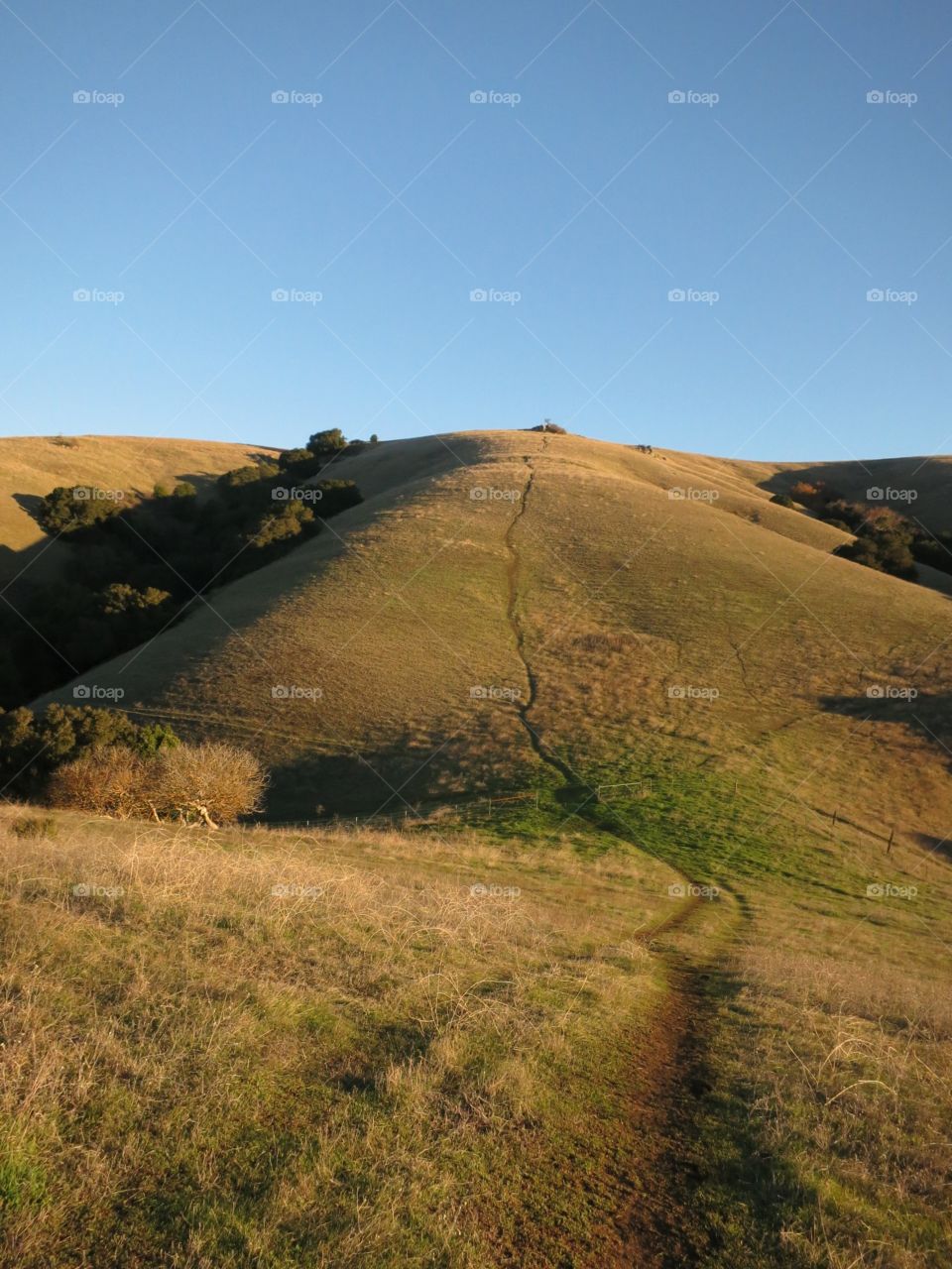 The best hiking trail at Dry Creek Regional in Union City, California. 