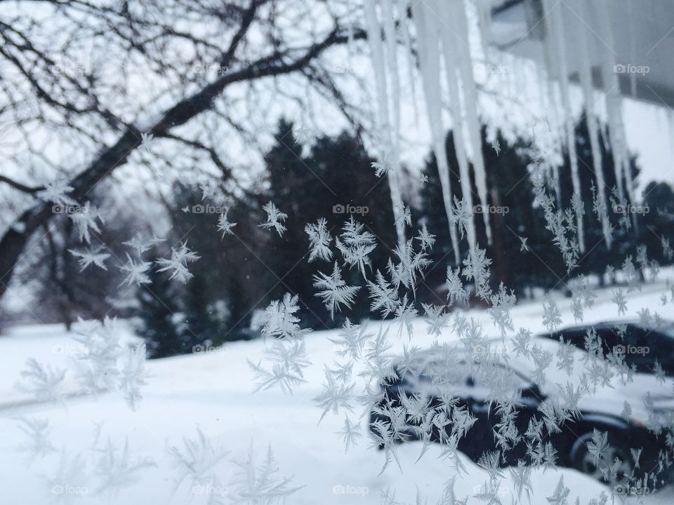 Snow in my window 