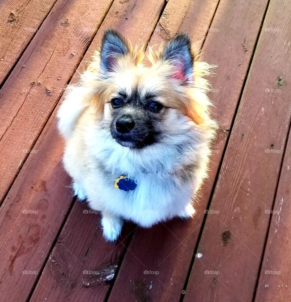 here's looking at you!