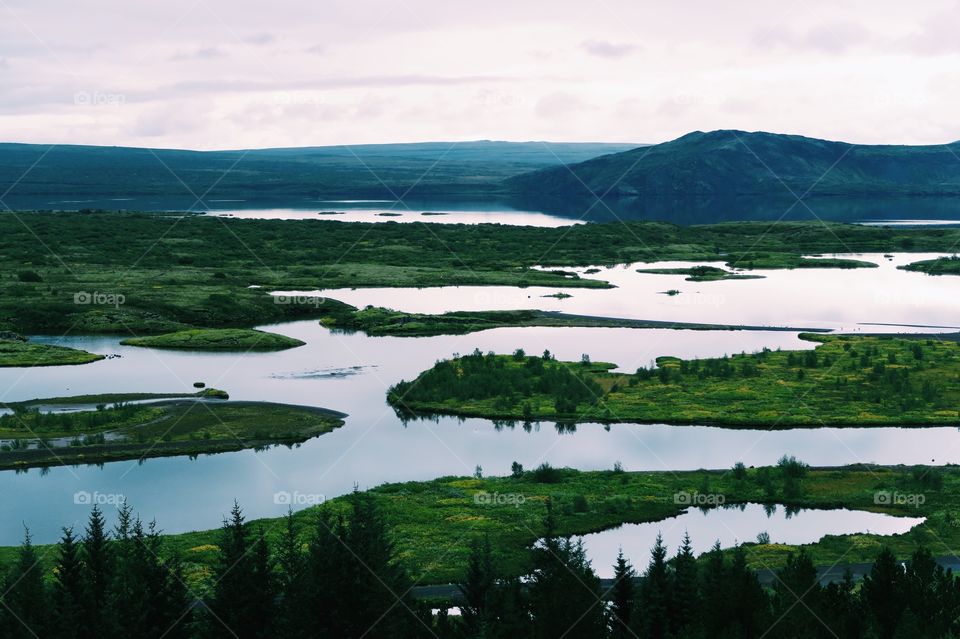 Scenic view of landscape