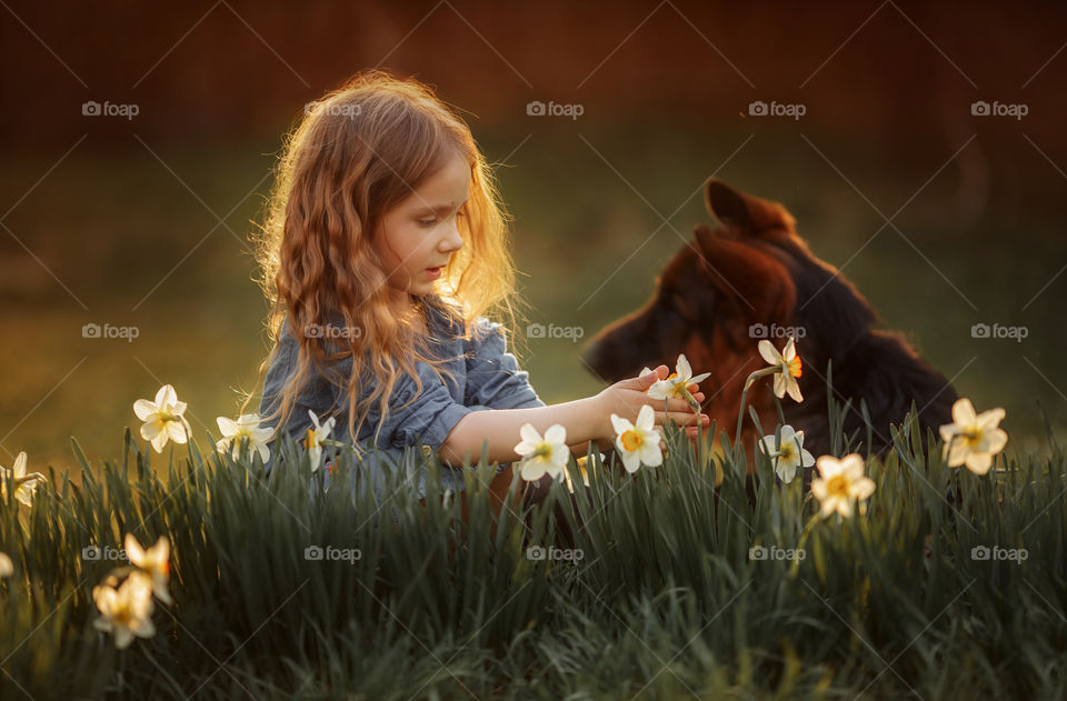 Little girl with narcissus at sunset