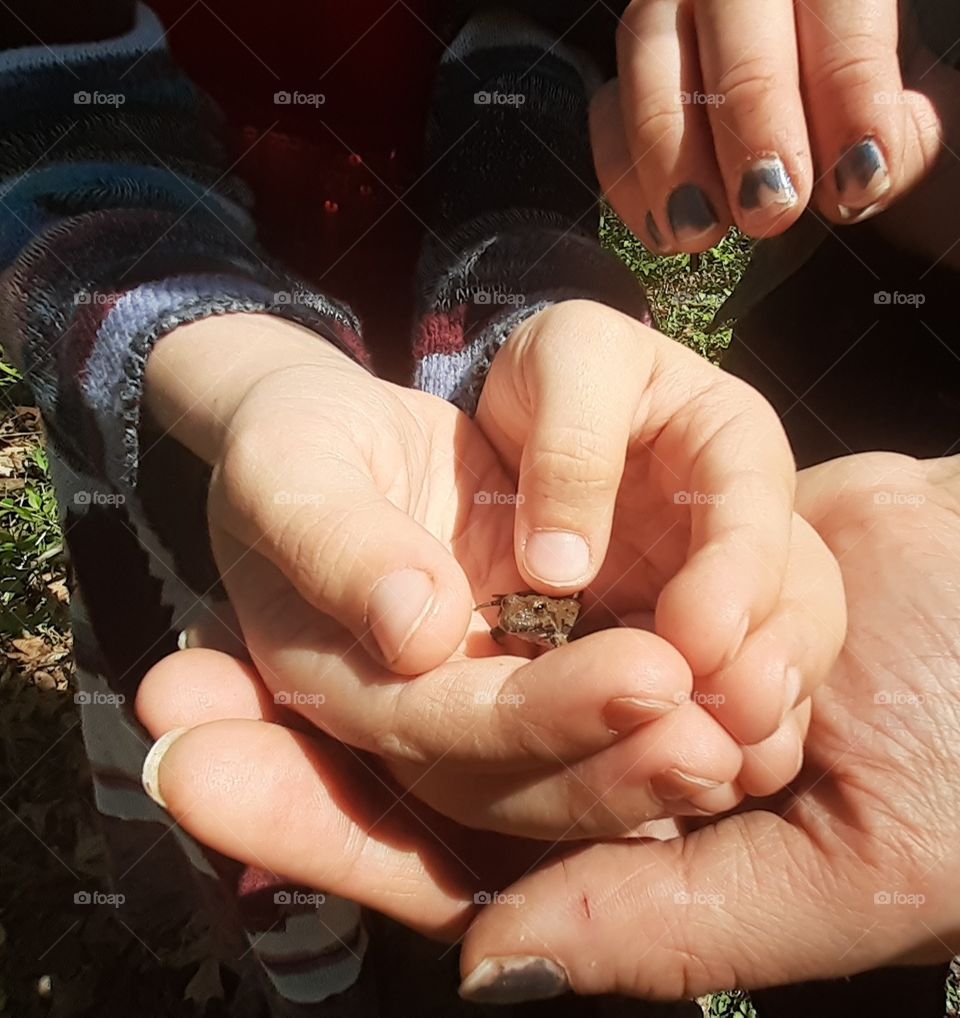 Holding a Tiny Frog