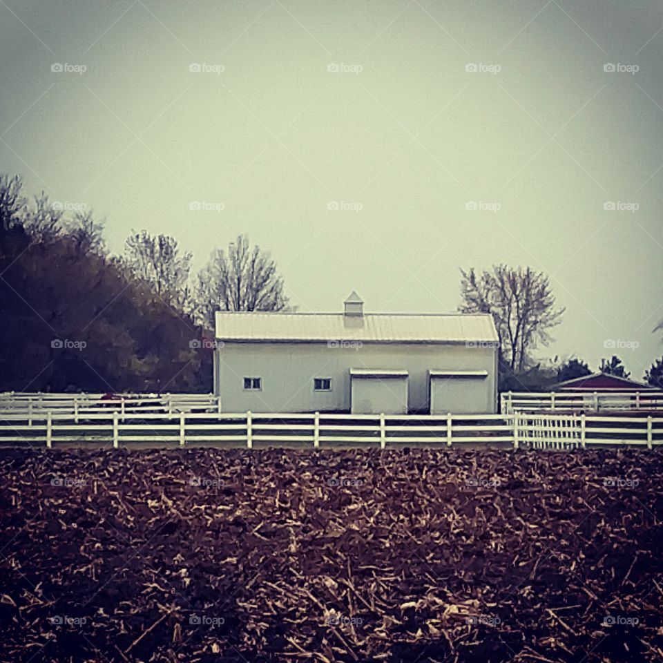Barn