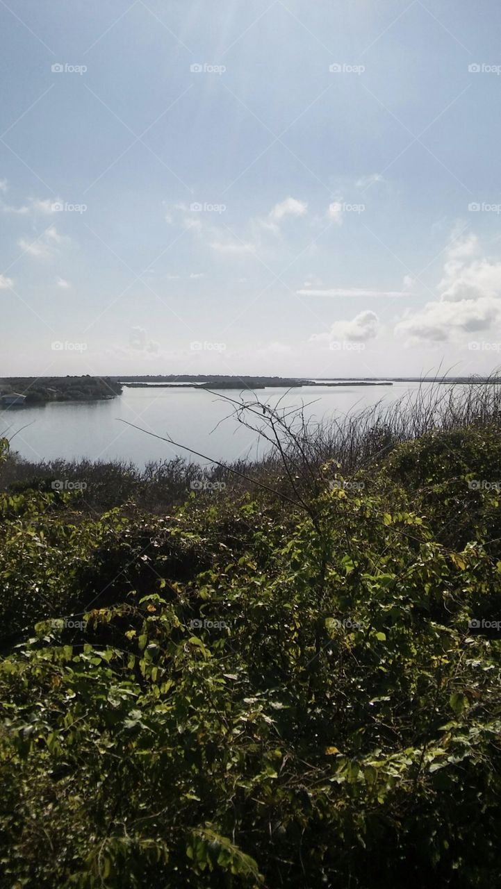 Turtle Mound Archaeological site, looking toward the Indian River in Florida 