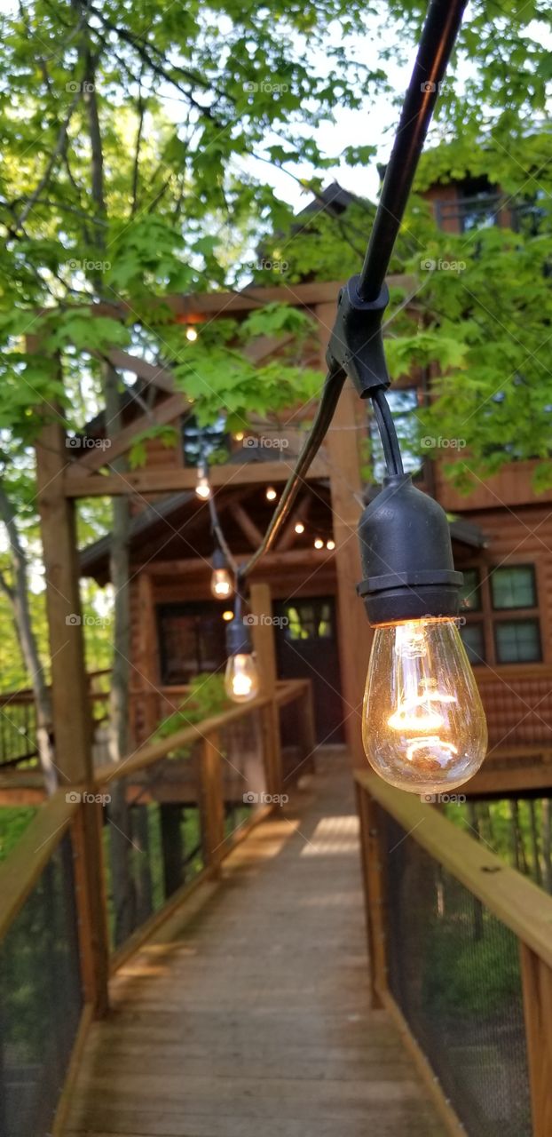 favorite spot at home