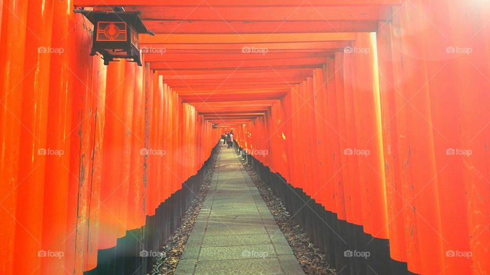 Red torii gate